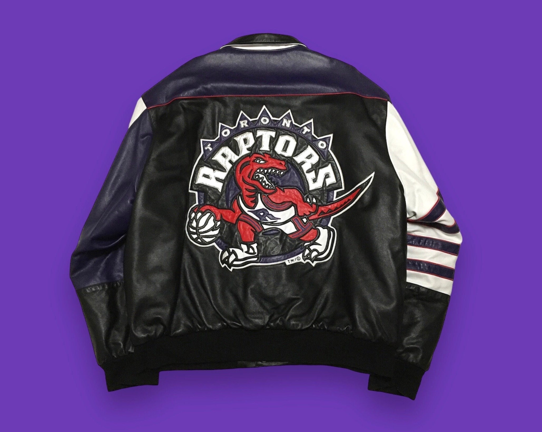 Mitchell & Ness Toronto Raptors In The Stands Varsity Jacket  (Large) : Sports & Outdoors