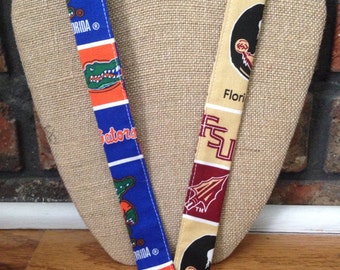 House Divided Florida Seminoles and Gators