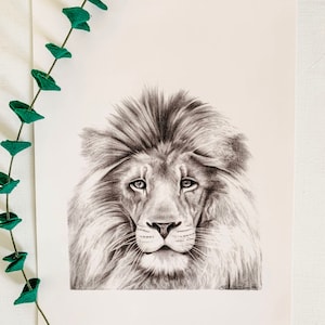 Detailed Lion of Judah Drawing- Fine Art Print - Detailed Lion Drawing - Christian Lion Wall Art - Lion Artwork