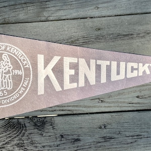 Vintage 60&#39;s University of Kentucky Wildcats Large Felt Pennant