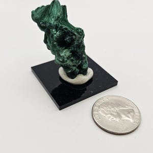 Puede incluir: Un espécimen de cristal de malaquita verde sobre un soporte de exhibición negro. El cristal es aproximadamente del tamaño de una moneda de euro.