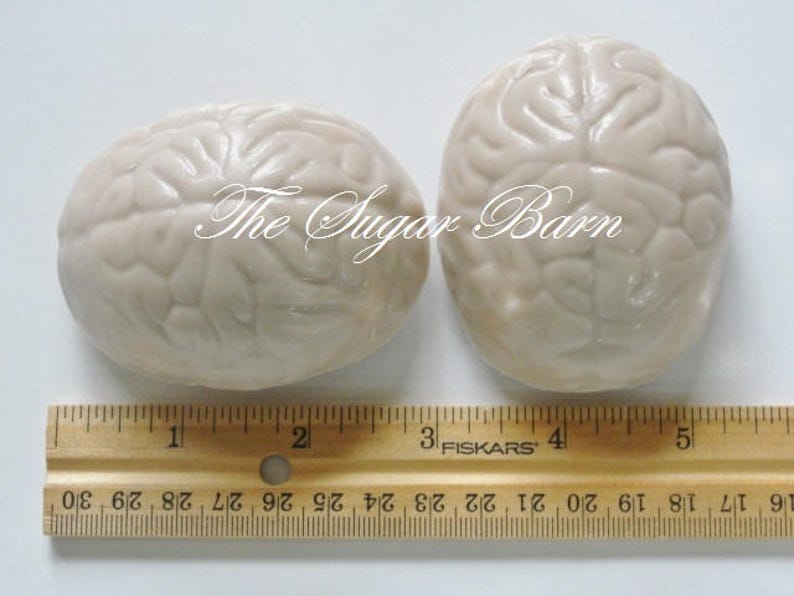 BRAIN CHOCOLATE Covered MARSHMALLOW10 Countdoctor Etsy