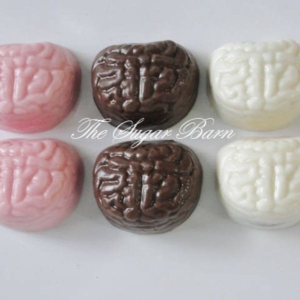 INTESTINES CHOCOLATE Mini Oreo® Cookies*15 Ct*Internal Medicine Doctor*Large Intestine*Small Intestine*Doctor Gift*Medical Favor