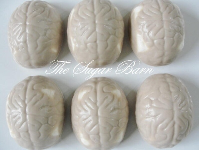 BRAIN CHOCOLATE Covered MARSHMALLOW10 Countdoctor Etsy