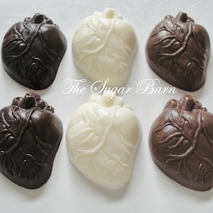 Human HEART SOLID CHOCOLATE Pieces*24 Count*Cardiologist*Medical Doctor*Heart Transplant*Valentine's Day Gift*Heart Specialist*Med Student