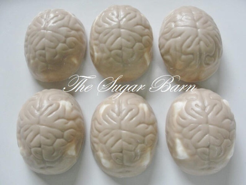 BRAIN CHOCOLATE Covered MARSHMALLOW10 Countdoctor Etsy
