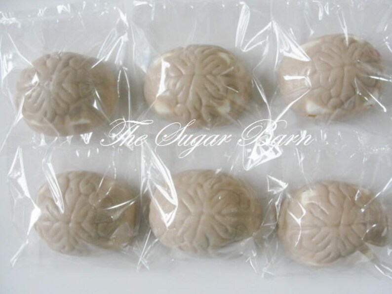 BRAIN CHOCOLATE Covered MARSHMALLOW10 Countdoctor Etsy