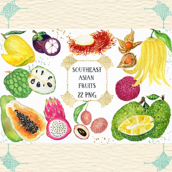 Southeast Asian Tropical Fruits watercolor clipart. Digital clipart hand drawn.  fresh tropical  fruits, fruit logo, branding