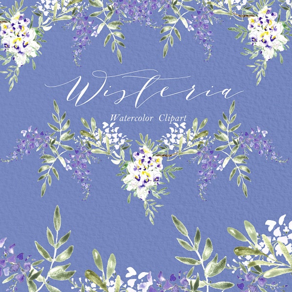 Wisteria clipart peinte à la main. Aquarelle. Couleurs romantiques, pourpre, violet fleurs douces, logos,