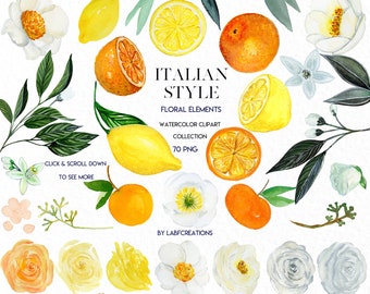 Italian Style. Floral Elements. Peach,yellow  and white roses clip art, hand drawn. Lemons, oranges, citrus. Watercolor clip art .