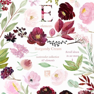 Burgundy cream  watercolour wreaths  clipart, hand drawn. ELEMENTS  Burgundy, pink , cream pink flowers, tender green branches.