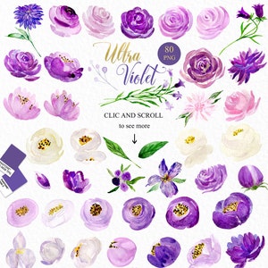 Clipart mit ultravioletten Aquarellblumen, handgezeichnet: Elemente. Lila, Lavendel und Creme. Pfingstrosen, Rosen, Auberginen. Pantone-Farbe des Jahres 2018
