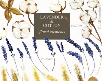 Lavender & Cotton. Watercolor ELEMENTS. Watercolor flowers  clipart.