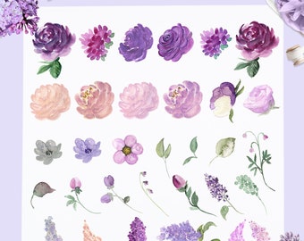 Lilac Purple Roses.  Floral Elements. Watercolor clipart. Garden Flowers. Lavender. Mauve Flowers. Purple Flowers