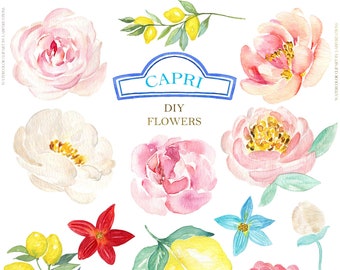 Capri Italy  FLORAL Elements Diy Watercolor clipart. Pink Flowers