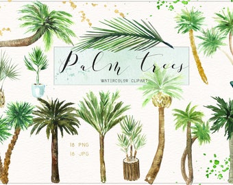 Könnte beinhalten: Aquarell-Clipart-Set mit 18 Palmen in verschiedenen Stilen und Größen. Die Bäume sind in Grün- und Brauntönen gemalt, einige mit einem hellblauen Topf oder einem braunen Holzsockel. Der Text "Palm Trees Watercolor Clipart" ist im Bild enthalten.