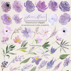 Suave Mauve. Elements. Watercolor  flowers clipart. Pink Purple, light lavander, lilac and  cream Peonies, roses. Wedding flowers.