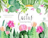 Cactus watercolor clipart, hand made. HEADER FOOTER. Succulent. Jucie colors. Mexica. Aloe Vera.