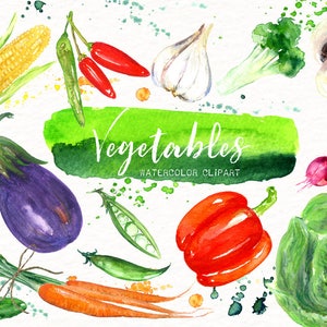 Verduras Clip art, dibujado a mano. CONJUNTO digital, clipart de verduras en acuarela, menú, logotipo de cocina, ajo, patatas, repollo, berenjena, vegano.