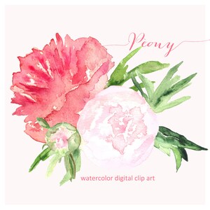 Peony. Watercolor clip art, SALES hand drawn. peony bouquet. Peony wedding, bridal pink flowers invitations, logo, Peony clip art. image 2