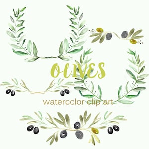 Olives Watercolor clip art hand drawn. Romantic wedding, light green, tender green branches, wedding invitation, wreath and arrangements. image 1
