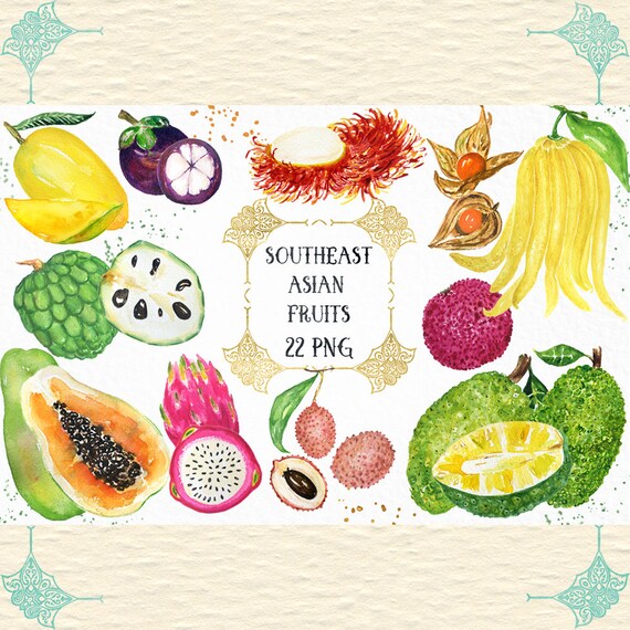 Asian girsl gone wild Southeast asian fruit