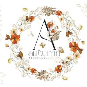 Herbstliche Wildblumen.   Rostbeige HerbstBLUMEN. Aquarell-Clipart.