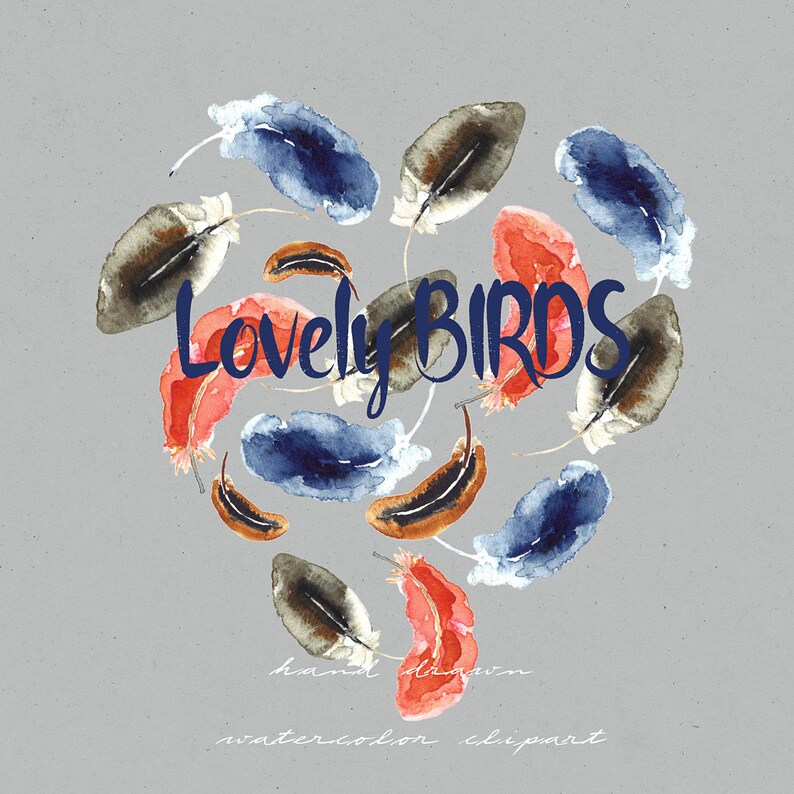 Download Clip Art Love Clipart Valentines Day Clip Art Clipart Hand Drawn Birds Feather And Hearts Watercolor Clipart Art Collectibles