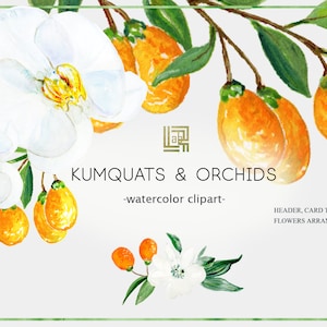 Kumquat & white orchids. ELEMENTS. Watercolors clipart collection. Orange  fruits.