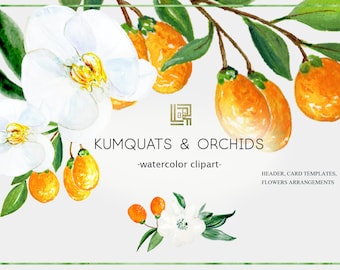 Kumquat & white orchids. ELEMENTS. Watercolors clipart collection. Orange  fruits.