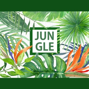 Clipart di foglie e rami tropicali dipinti a mano in acquerello. Colori romantici, verde, arancione, loghi.