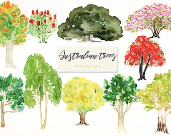 Australian native trees. Watercolor clip art. Digital Watercolours clipart hand drawn. Forest wedding, eucalyptus  logo invitations, ficus.