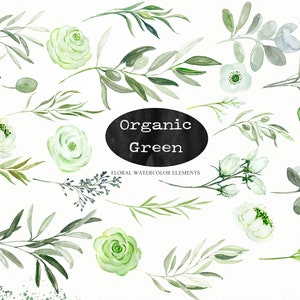 May include: Watercolor illustrations of green leaves, branches, and flowers. The illustrations are in a variety of shades of green and white. The text "Organic Green" is written in black on a gray oval.
