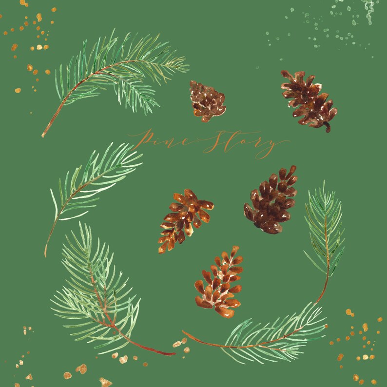 May include: Watercolor illustration of pine branches and pine cones on a green background with gold glitter. The text "Pine Story" is written in cursive in gold.