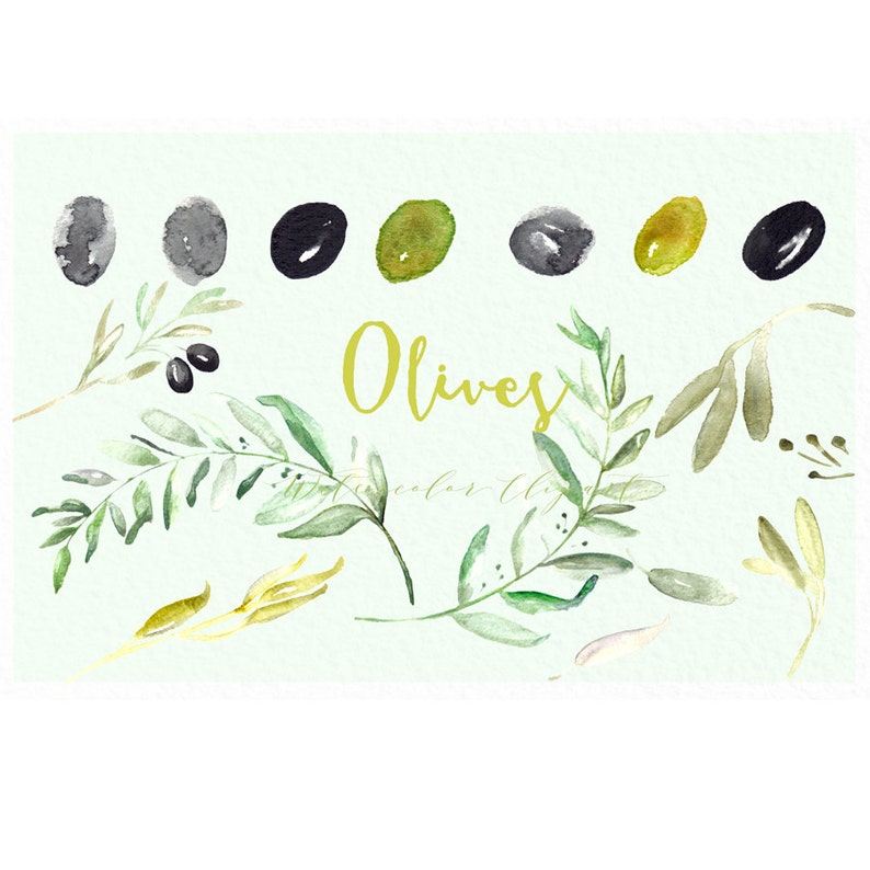 Olives Watercolor clip art hand drawn. Romantic wedding, light green, tender green branches, wedding invitation, wreath and arrangements. image 3