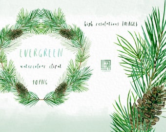 Evergreen.  Pine branches and wreaths. Watercolor clip art hand drawn. Winter watercolor, Blue and  green  branches, wedding invitation.