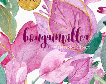 Bougainvillea clip art, Digital Watercolor clipart hand drawn. Bougainvillea, rustic wedding, bright, pink fucshia flowers invitations