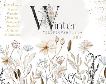 May include: A watercolor illustration of winter wildflowers in shades of white, brown, and gray. The illustration includes a large letter "V" with the word "Winter" and the text "Wildflowers 170+ PNG" below it.