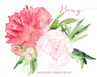 Peony. Watercolor clip art, SALES! hand drawn. peony bouquet. Peony wedding, bridal pink flowers invitations, logo, Peony clip art.