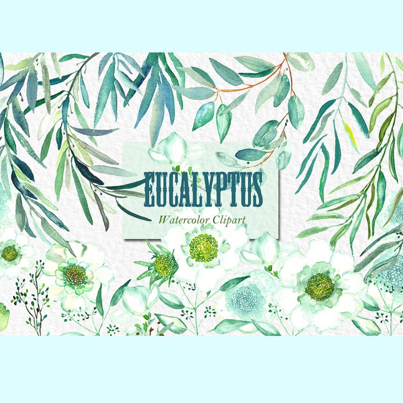 tender green branches Romantic wedding wedding invitation. mint green Eucalyptus branches watercolor clipart hand drawn