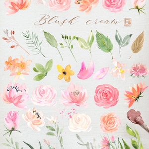 Blush cream watercolour flowers clipart, hand drawn: Elements, textures, patterns, washes. Soft blush pink and peach colors. Peonies. image 3