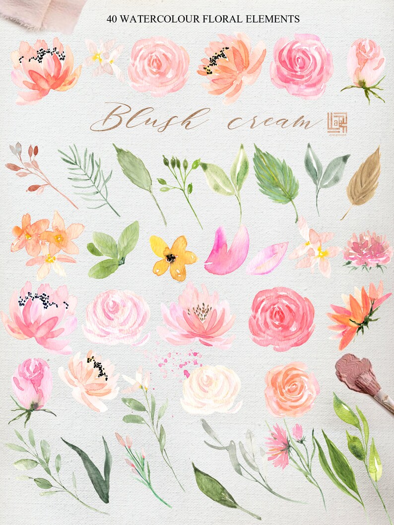 Blush cream watercolour flowers clipart, hand drawn: Elements, textures, patterns, washes. Soft blush pink and peach colors. Peonies. image 3