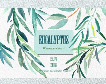 Eucalyptus  branches watercolor clipart hand drawn. Romantic wedding, mint green, tender green branches, wedding invitation.