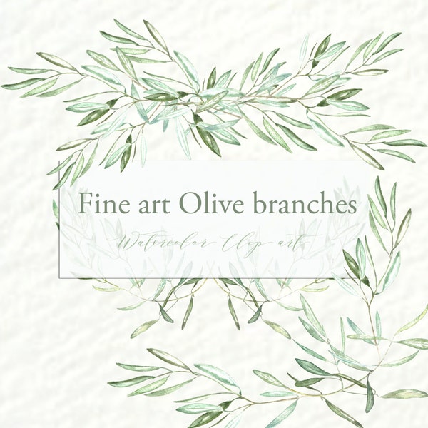 Olives branches watercolor clipart hand drawn. Romantic wedding, sage green, tender green branches, wedding invitation, arrangements.