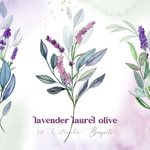 Lavanda Alloro Oliva / Bouquet ad acquerello. Clipart ad acquerello. Fiori di Provenza. Mediterraneo. Fiori viola.