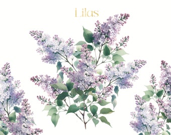 Lilac Watercolor Flowers PNG. Watercolor clipart. Digital PNG