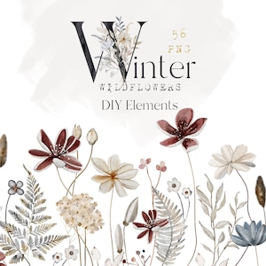 Flores silvestres de invierno. Elementos florales DIY FLORES navideñas en color beige neutro. Clipart de acuarela.
