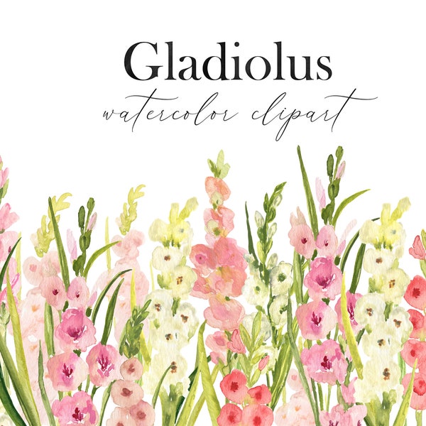 Gladiolus Watercolor Floral Clipart. Summer Bright Gladiolus Clip Art Bouquet Backdrops Digital Download