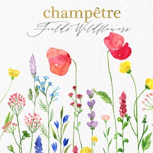 Watercolor wildflowers. Watercolor clipart. CHAMPETRE. Fields wild flowers bouquet,  floral wreath png flowers border wedding Invitation