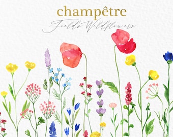 May include: Watercolor illustration of wildflowers in various colors, including red poppies, yellow buttercups, and purple lavender. The image has the text "champêtre Fields Wildflowers" in gold and black script.